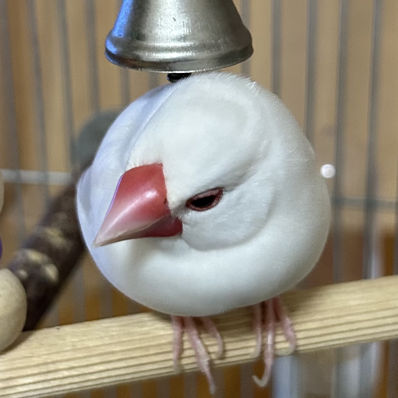 なおやん